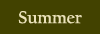 Summer and fly fishing Information